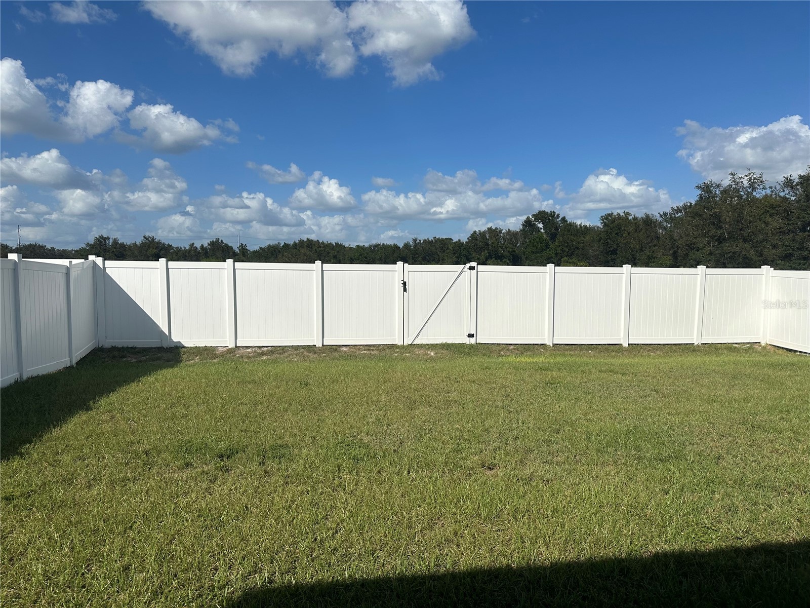 3305 Royal Tern Drive Winter Haven FL 33881 O6385959 image2