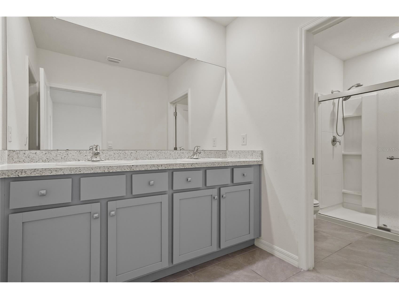 33055 Tulip Petal Lane Wesley Chapel FL 33545 TB8520018 image16