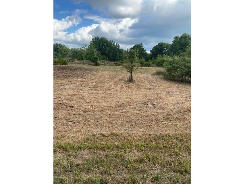 33059 Square Stone Street Webster FL 33597 G5067315 image1