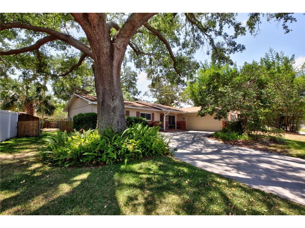 3306 Lacewood Road Tampa FL 33618 TB8378762 image1