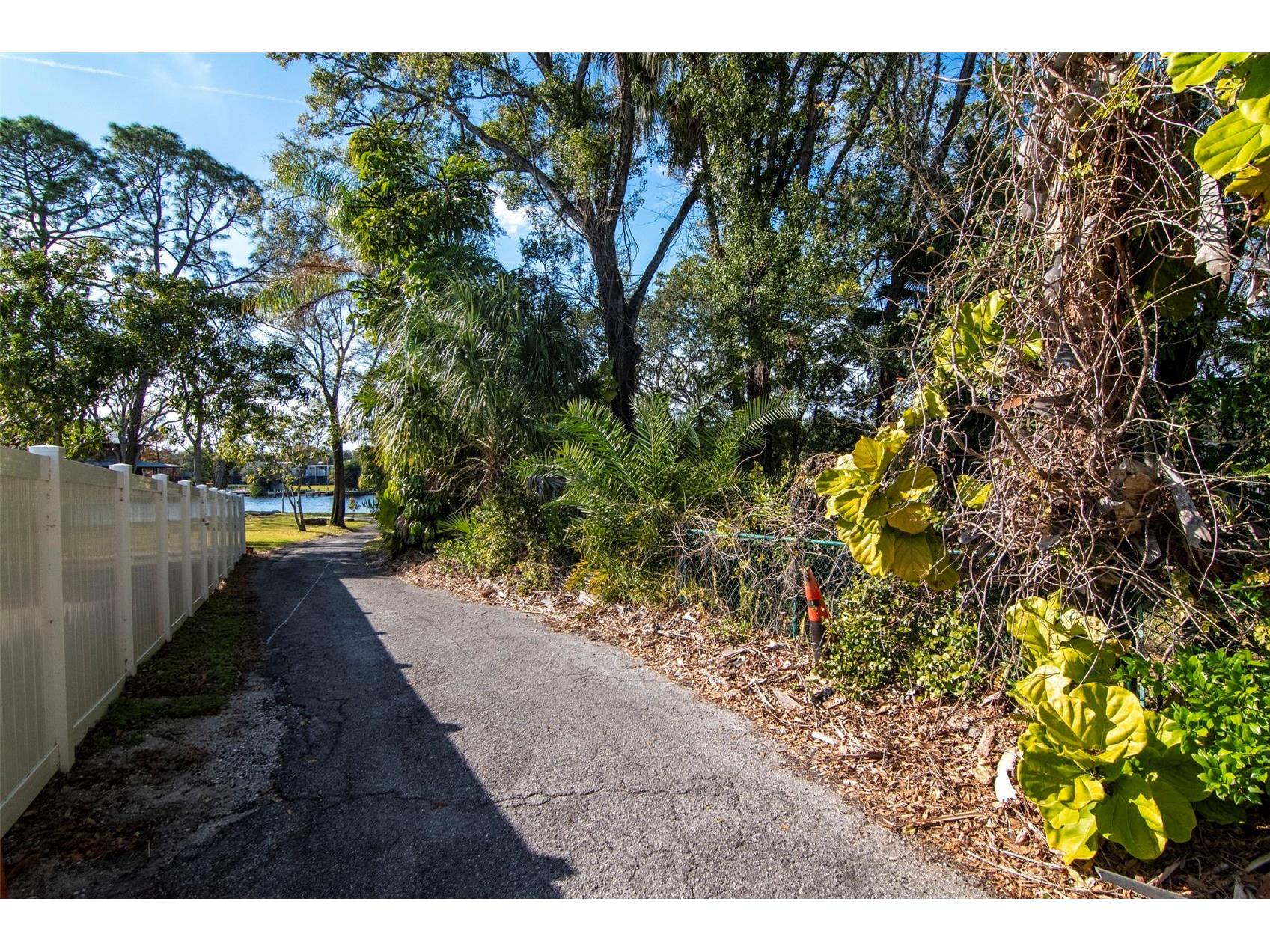 3306 N Perry Avenue Tampa FL 33603 TB8467683 image43