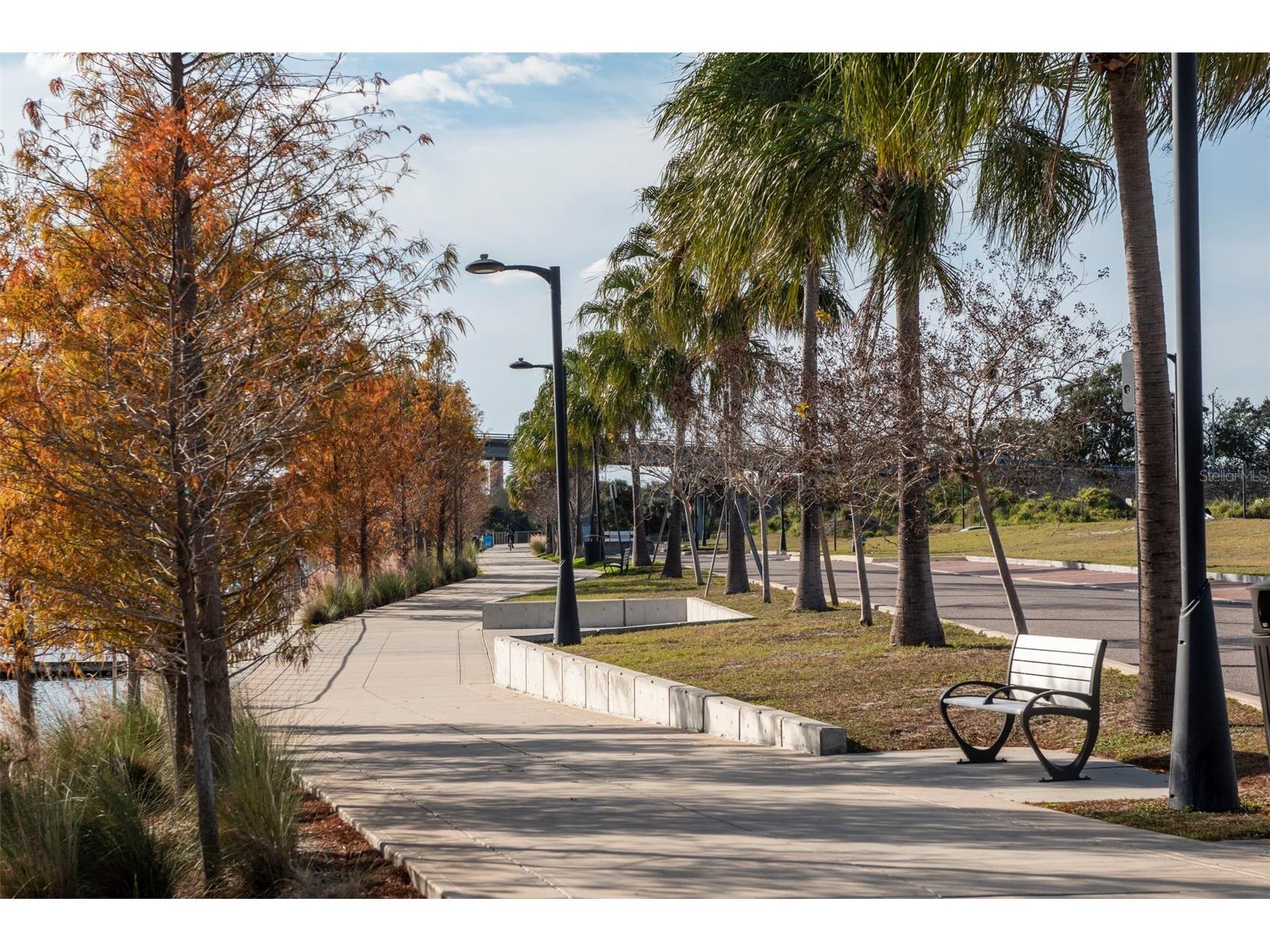 3306 N Perry Avenue Tampa FL 33603 TB8467683 image66