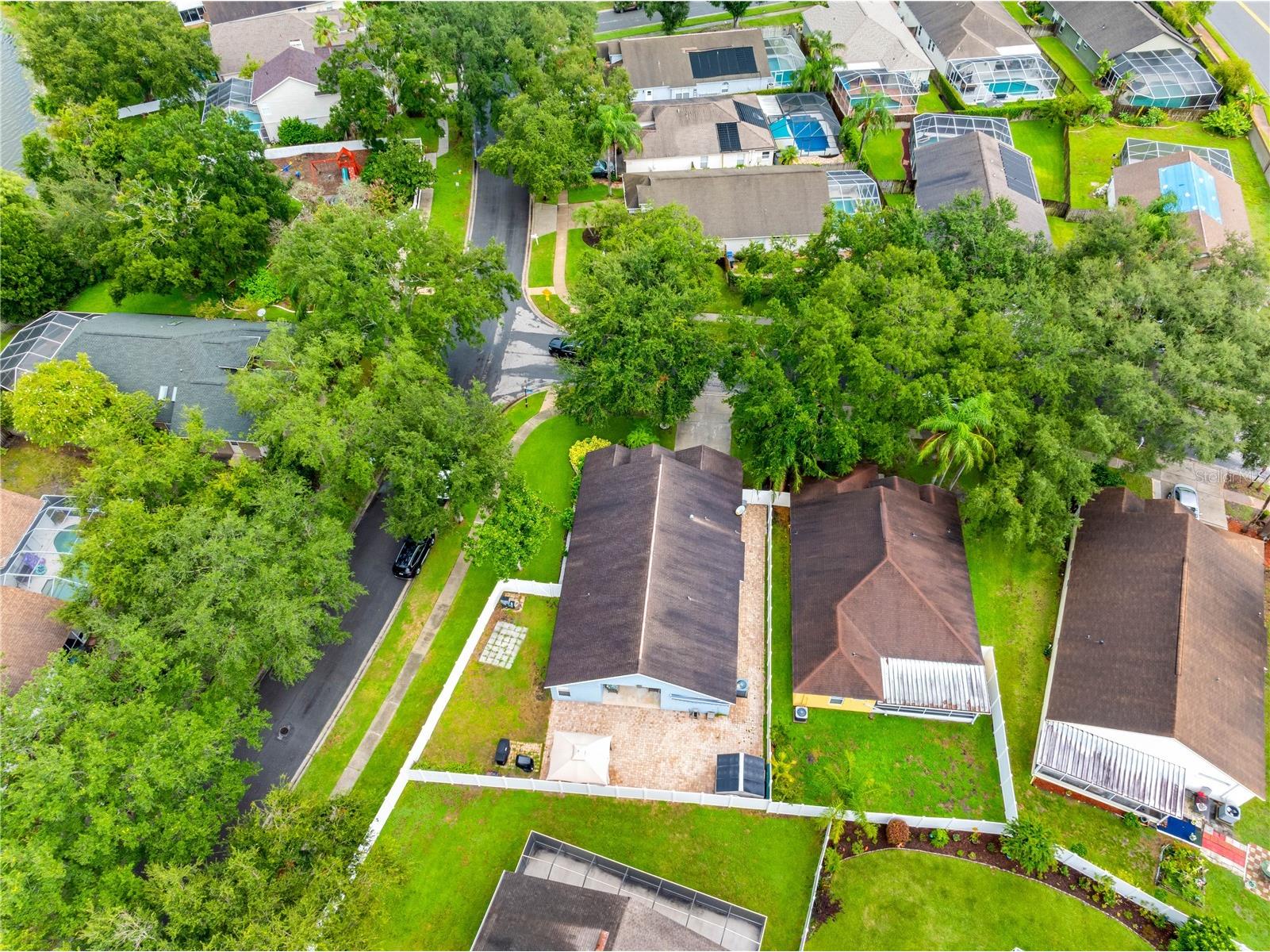 3306 Pin Oak Lane Tampa FL 33618 TB8525559 image10