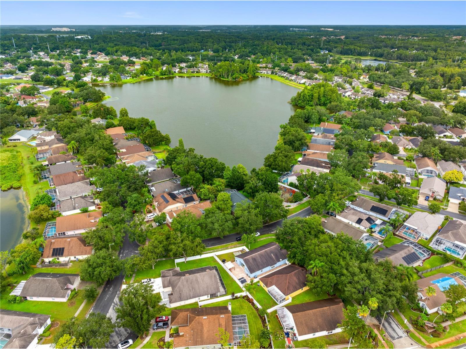 3306 Pin Oak Lane Tampa FL 33618 TB8525559 image50