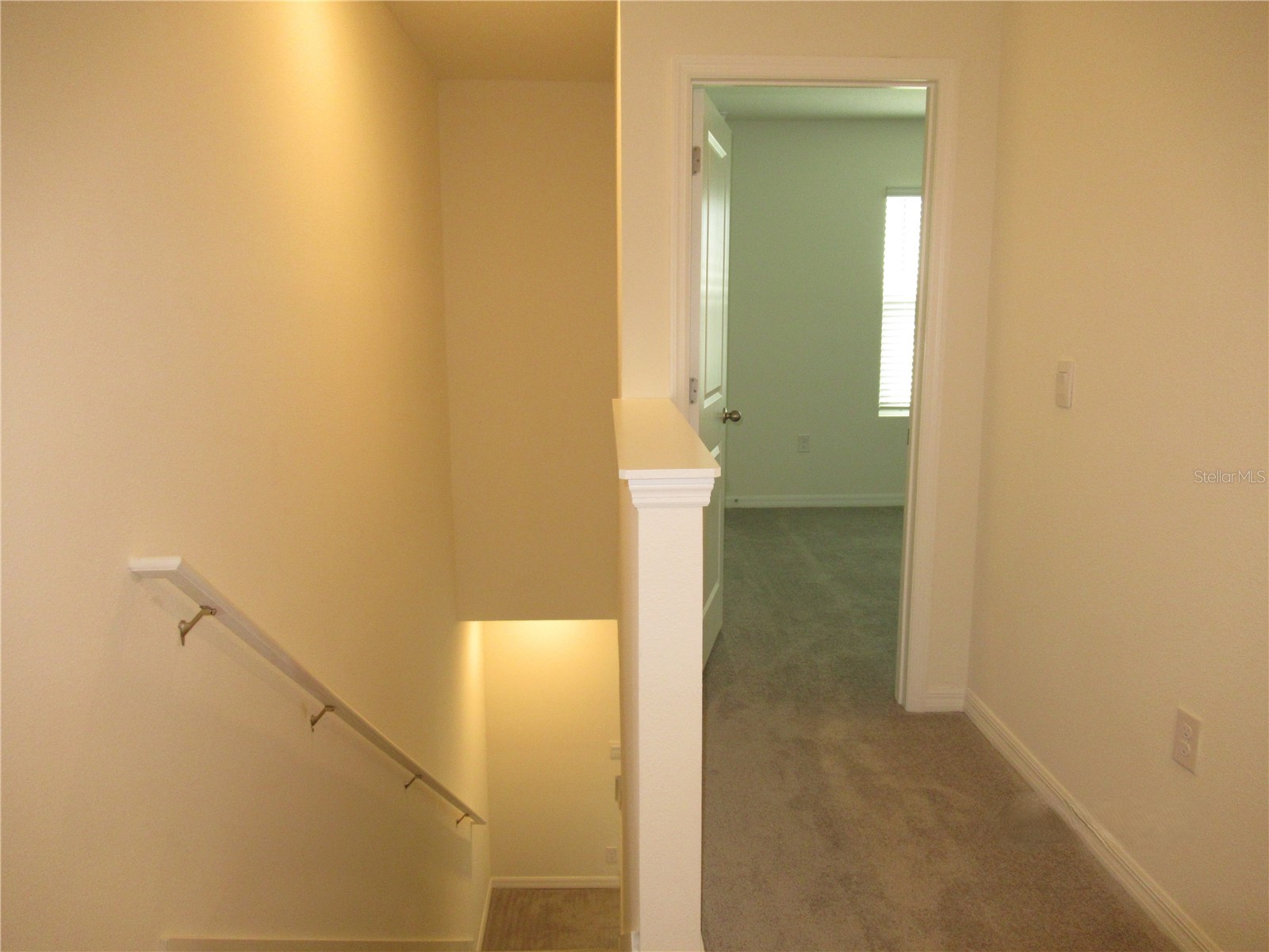 33062 Frosted Clover Way Wesley Chapel FL 33545 TB8474411 image16