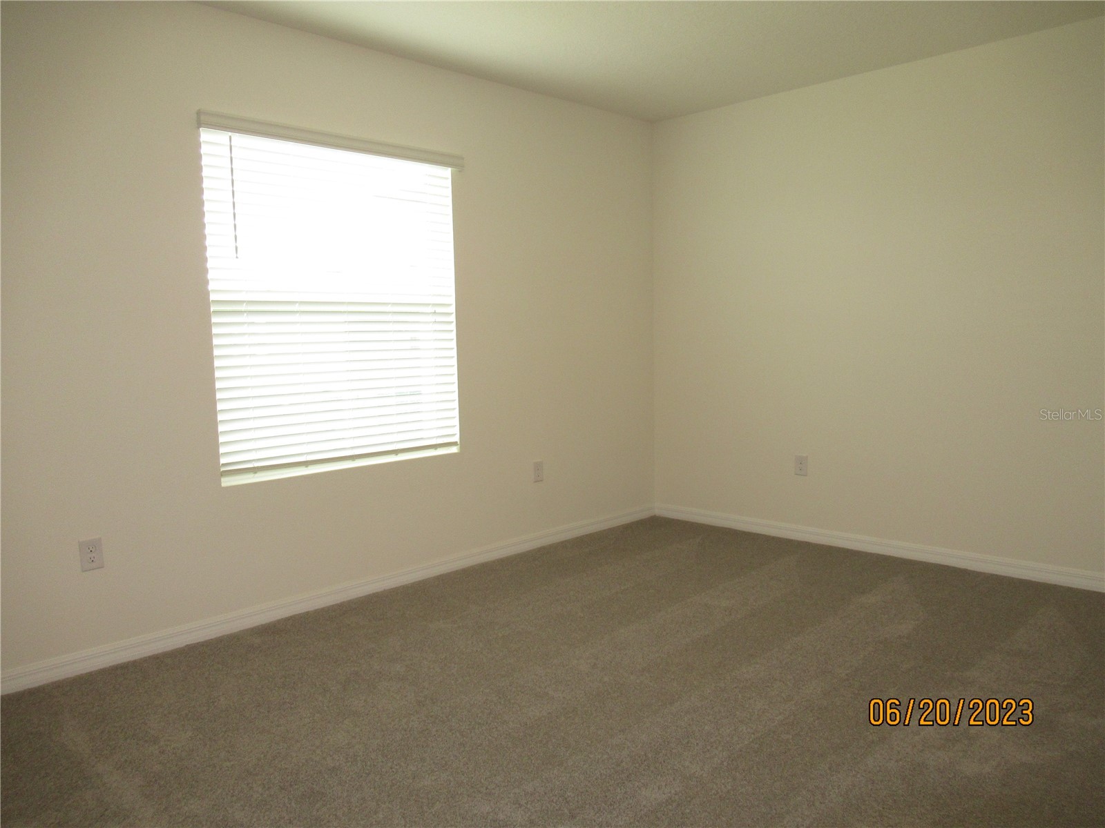 33062 Frosted Clover Way Wesley Chapel FL 33545 TB8474411 image18