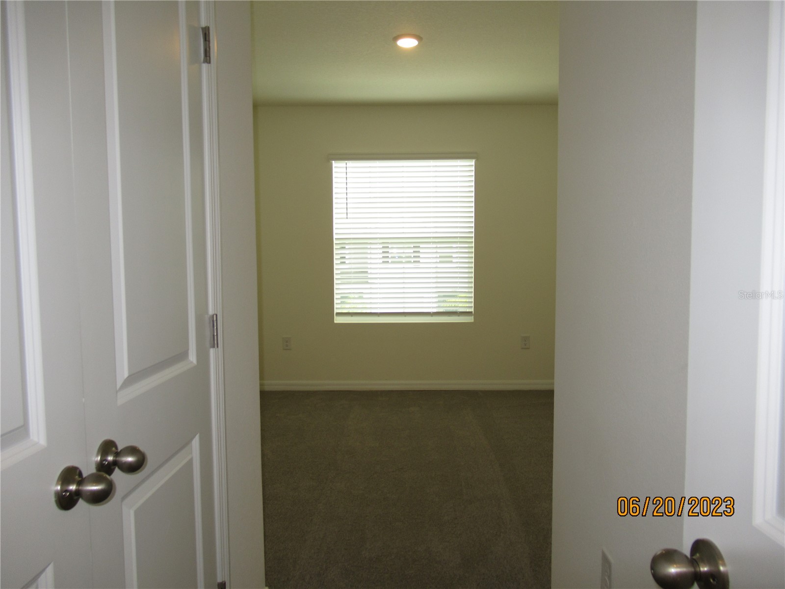 33062 Frosted Clover Way Wesley Chapel FL 33545 TB8474411 image29