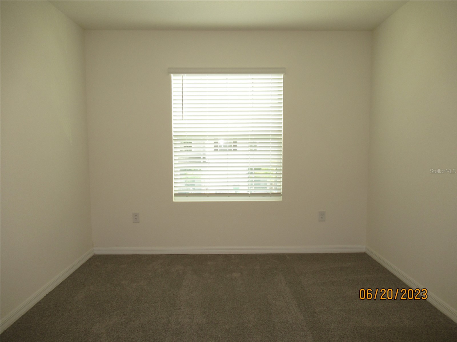 33062 Frosted Clover Way Wesley Chapel FL 33545 TB8474411 image30