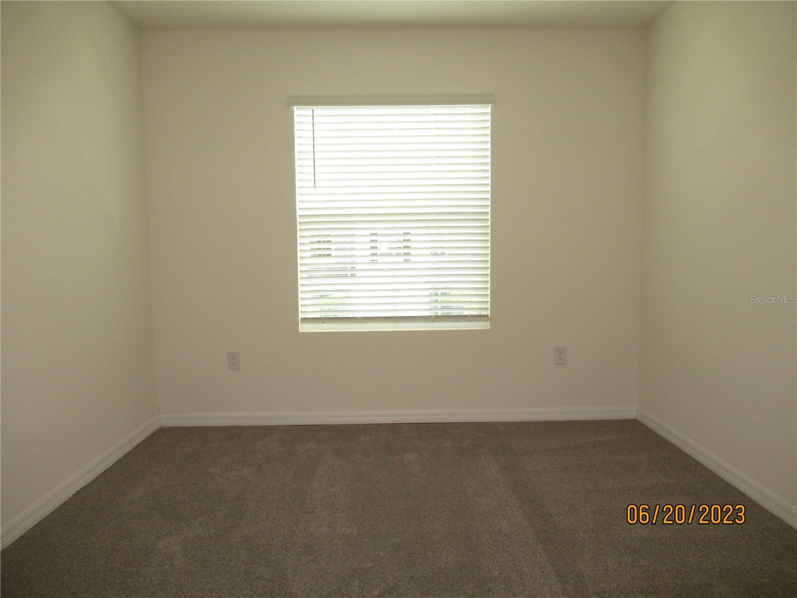 33062 Frosted Clover Way Wesley Chapel FL 33545 TB8474411 image31