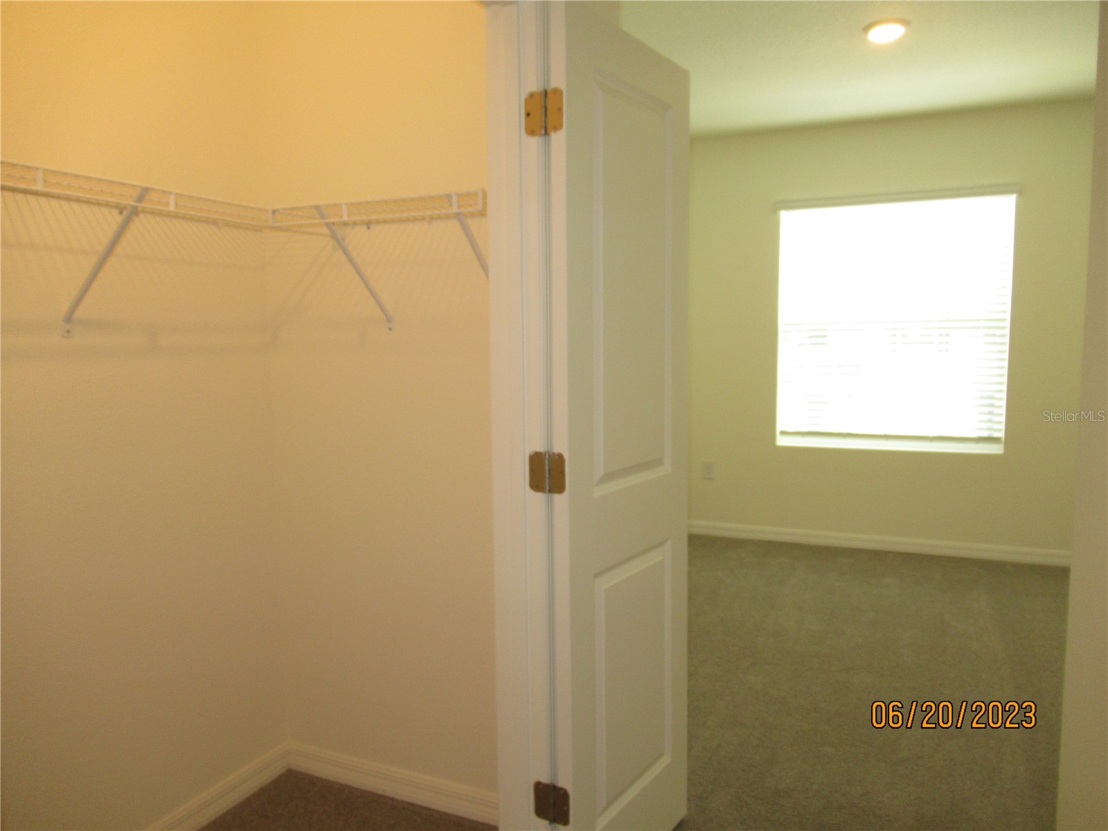 33062 Frosted Clover Way Wesley Chapel FL 33545 TB8474411 image32