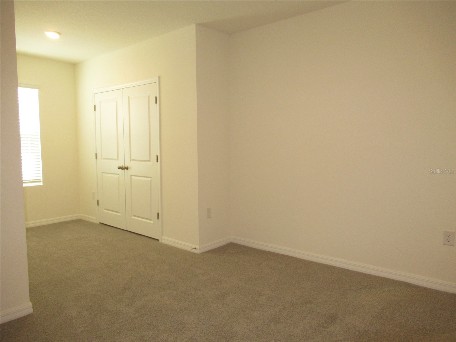 33062 Frosted Clover Way Wesley Chapel FL 33545 TB8474411 image35