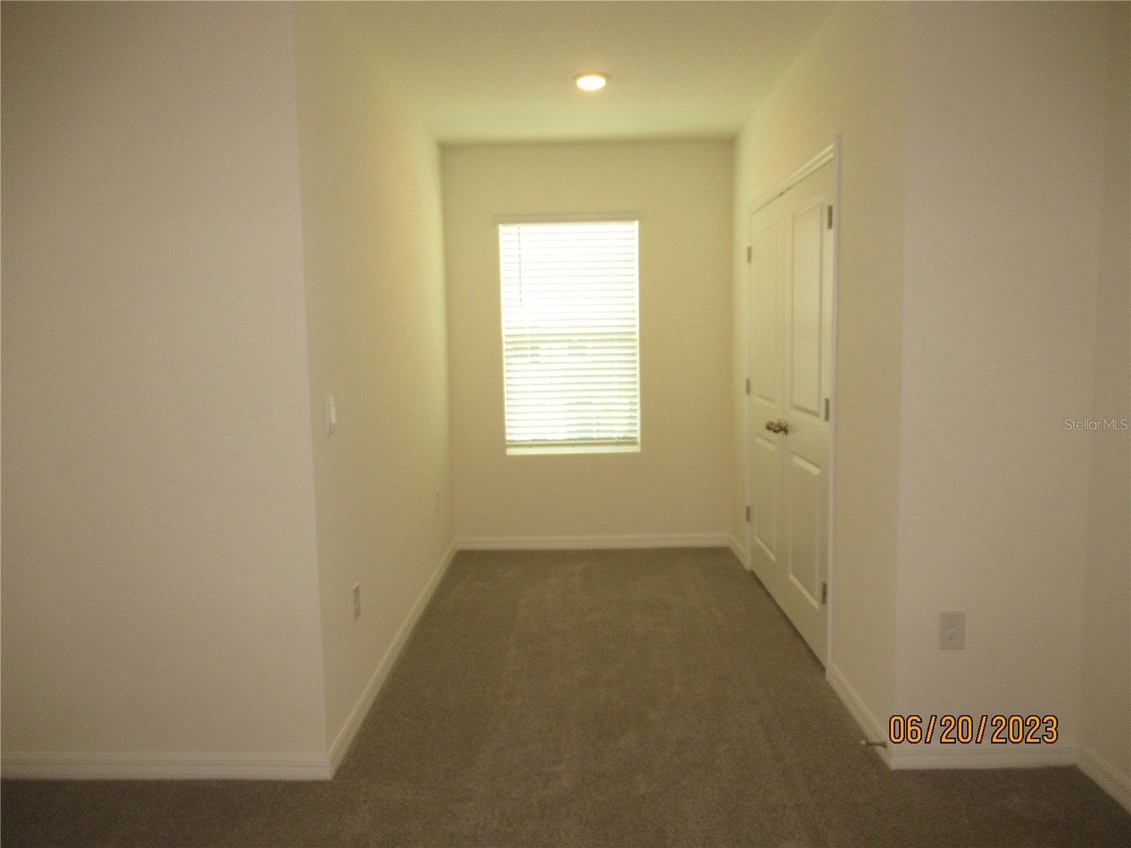 33062 Frosted Clover Way Wesley Chapel FL 33545 TB8474411 image36