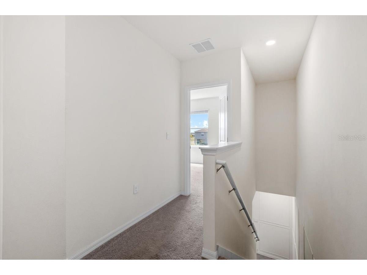 33064 Tulip Petal Lane Wesley Chapel FL 33545 TB8466843 image14