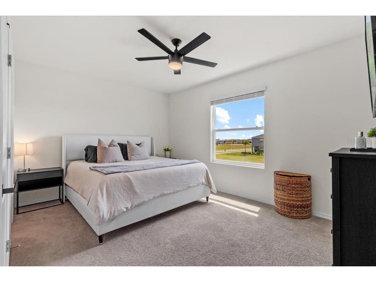 33064 Tulip Petal Lane Wesley Chapel FL 33545 TB8466843 image15