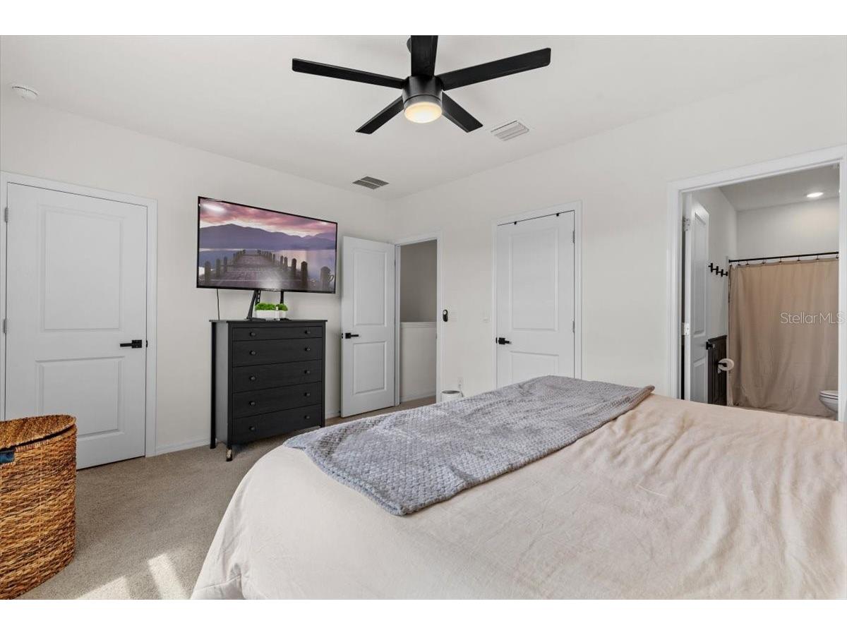 33064 Tulip Petal Lane Wesley Chapel FL 33545 TB8466843 image17