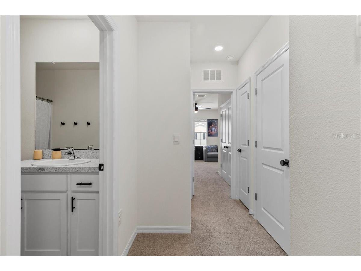 33064 Tulip Petal Lane Wesley Chapel FL 33545 TB8466843 image19