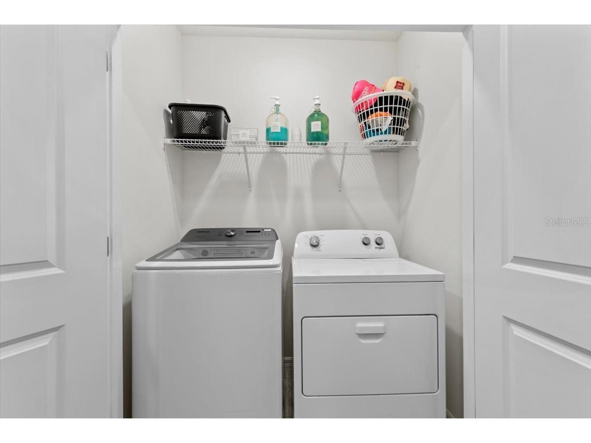 33064 Tulip Petal Lane Wesley Chapel FL 33545 TB8466843 image21