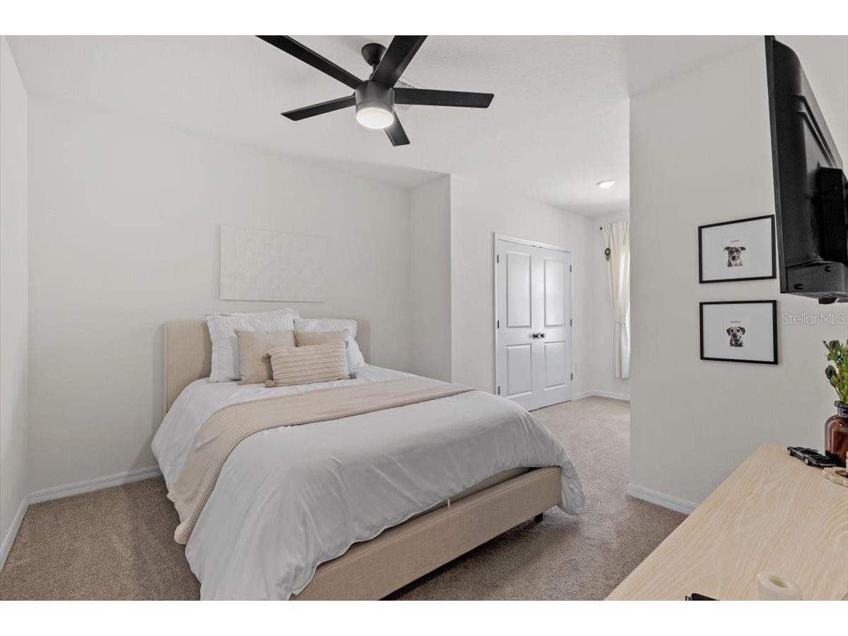 33064 Tulip Petal Lane Wesley Chapel FL 33545 TB8466843 image22