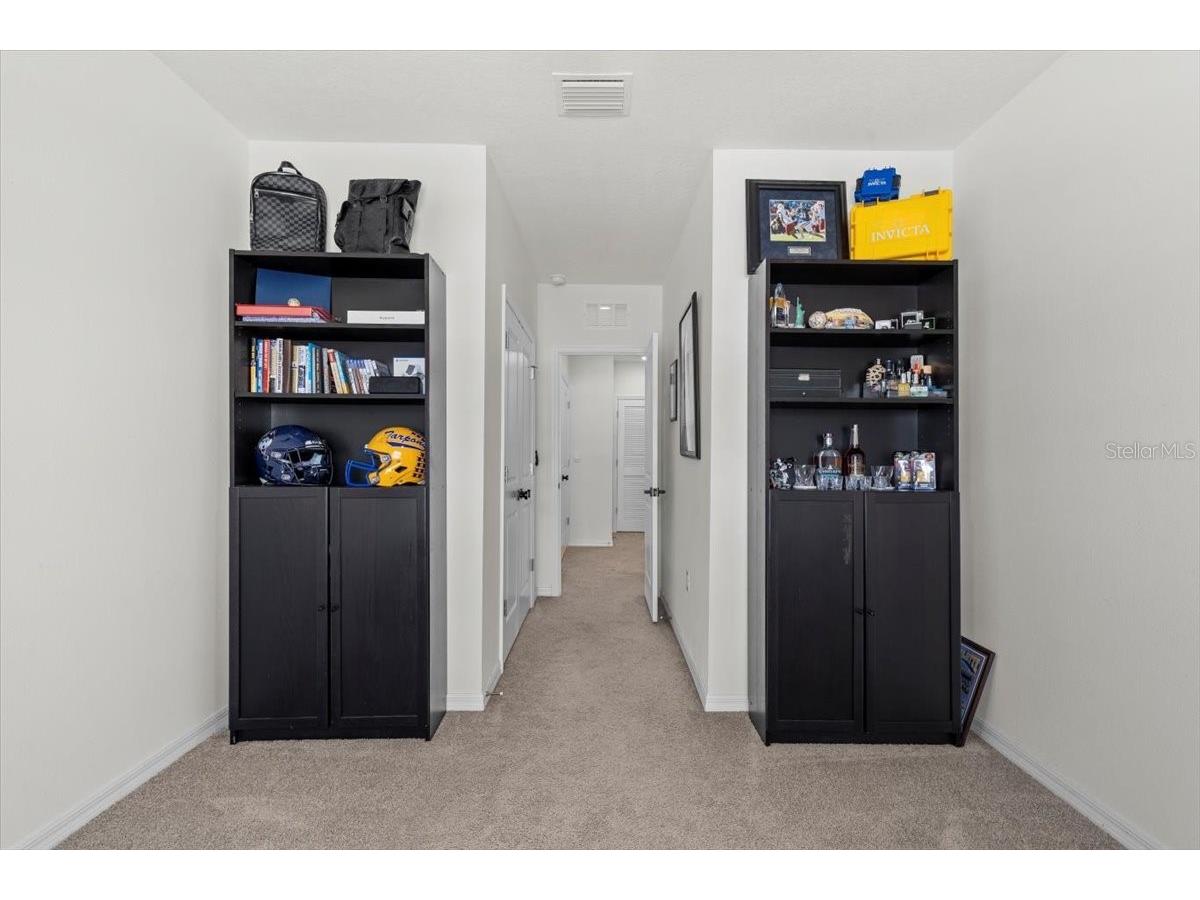 33064 Tulip Petal Lane Wesley Chapel FL 33545 TB8466843 image24