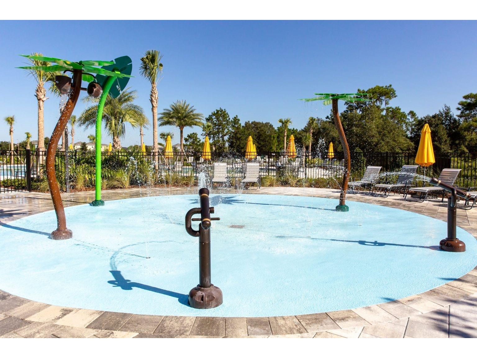 33064 Tulip Petal Lane Wesley Chapel FL 33545 TB8466843 image25