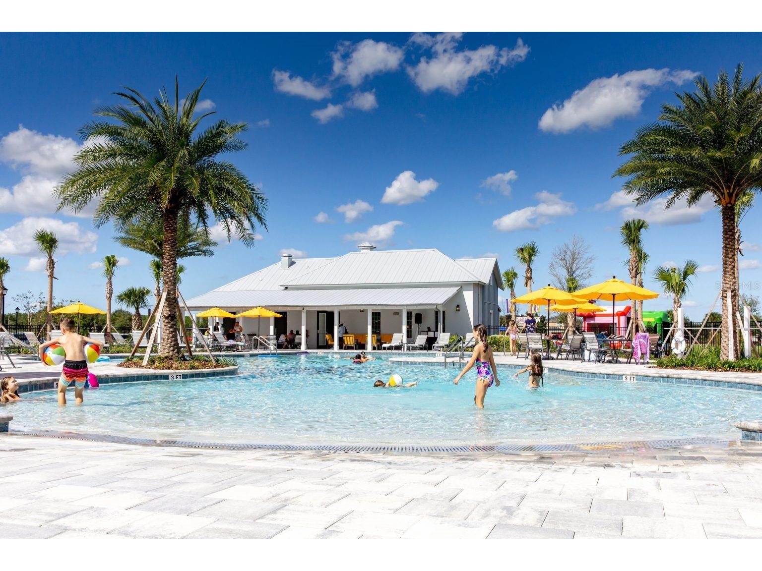 33064 Tulip Petal Lane Wesley Chapel FL 33545 TB8466843 image26