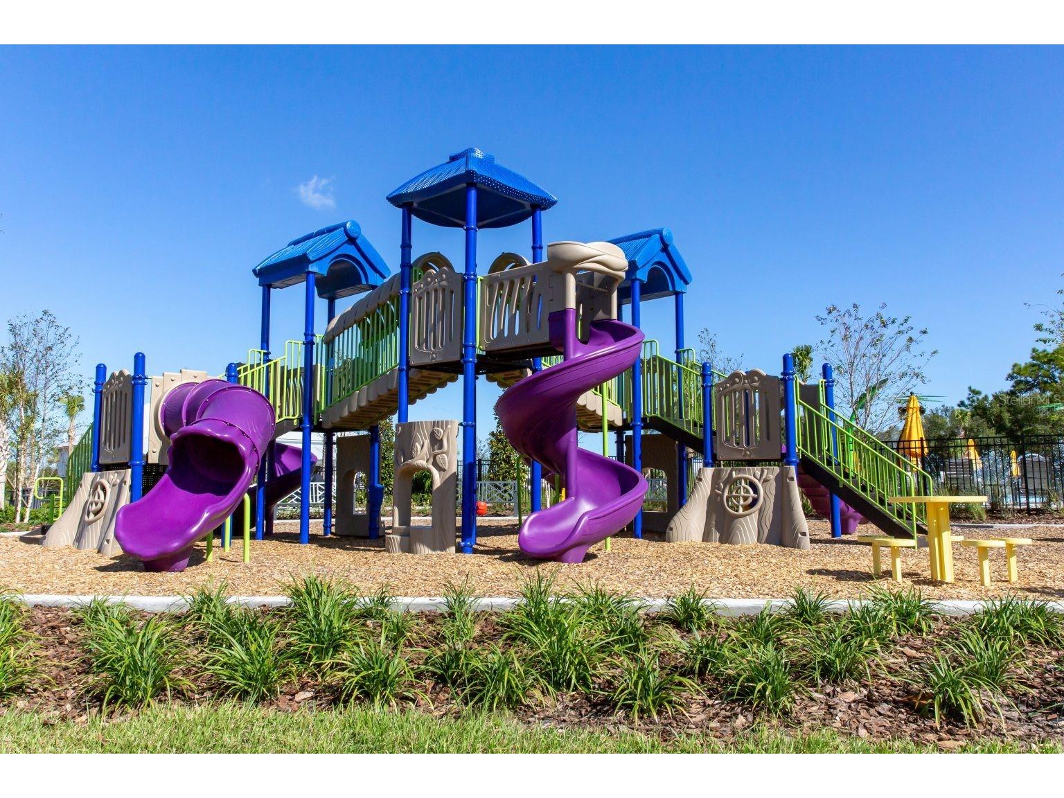 33064 Tulip Petal Lane Wesley Chapel FL 33545 TB8466843 image29