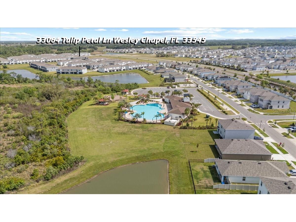 33064 Tulip Petal Lane Wesley Chapel FL 33545 TB8466843 image31