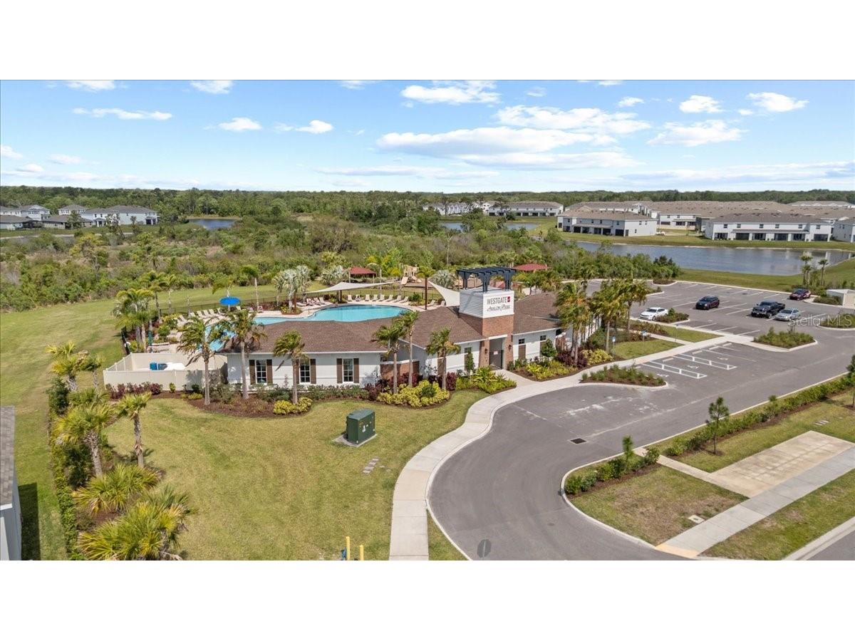 33064 Tulip Petal Lane Wesley Chapel FL 33545 TB8466843 image35