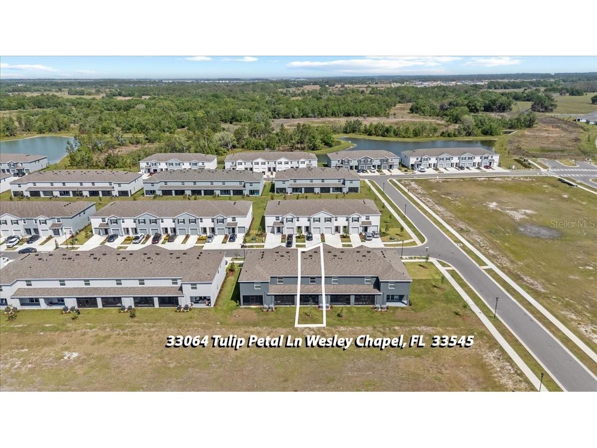 33064 Tulip Petal Lane Wesley Chapel FL 33545 TB8466843 image37