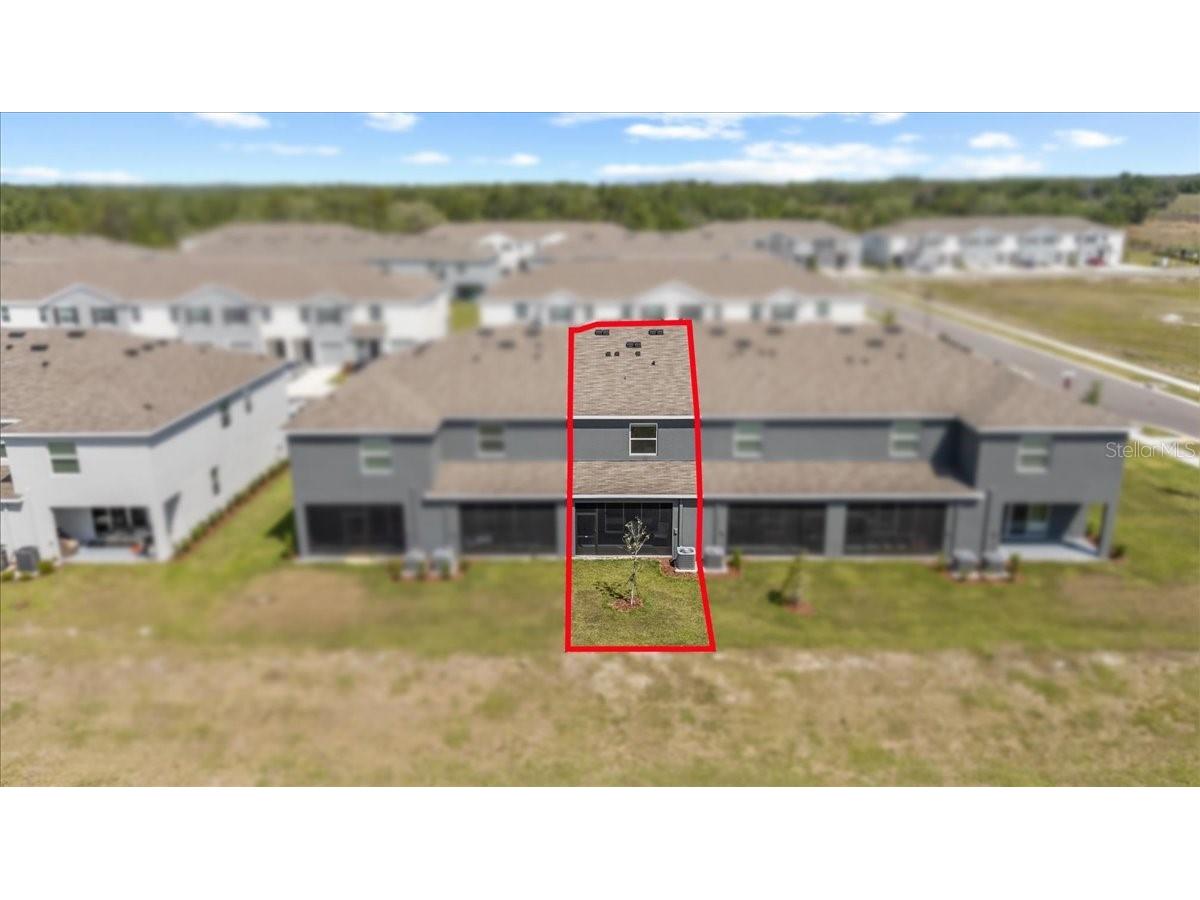 33064 Tulip Petal Lane Wesley Chapel FL 33545 TB8466843 image38