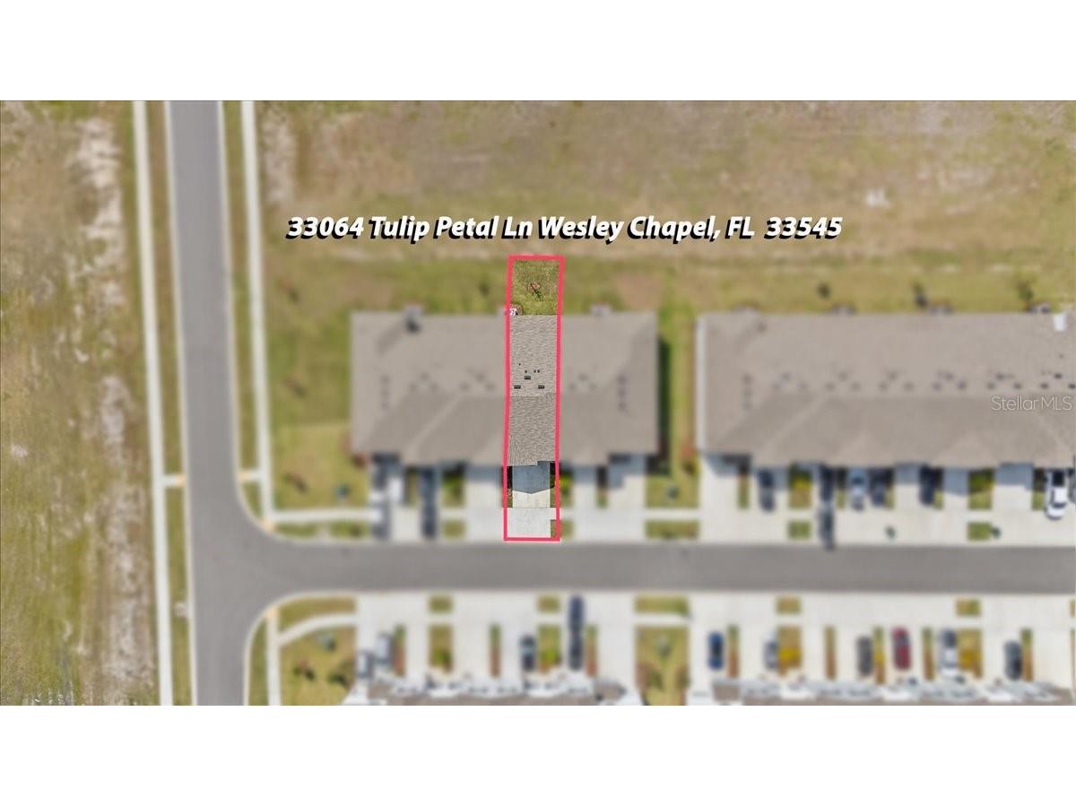 33064 Tulip Petal Lane Wesley Chapel FL 33545 TB8466843 image39