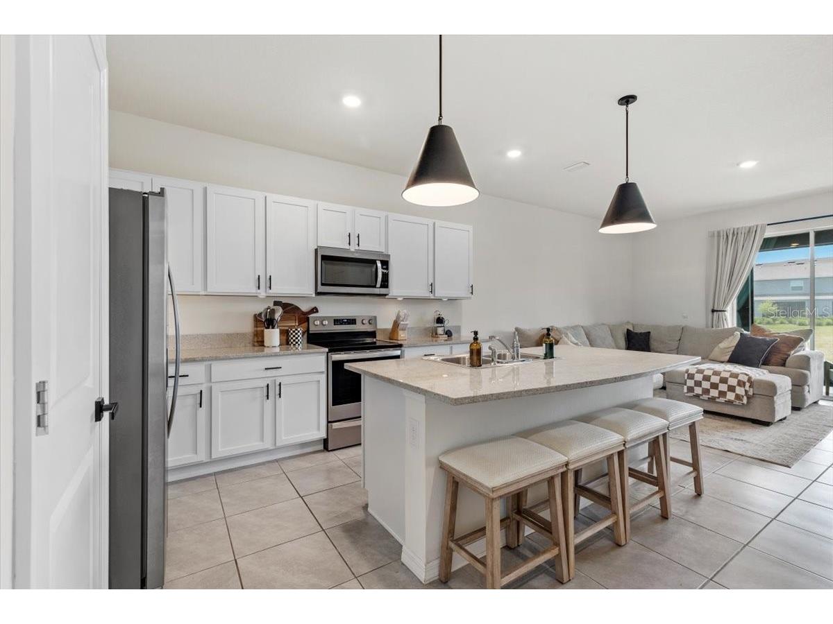 33064 Tulip Petal Lane Wesley Chapel FL 33545 TB8466843 image5