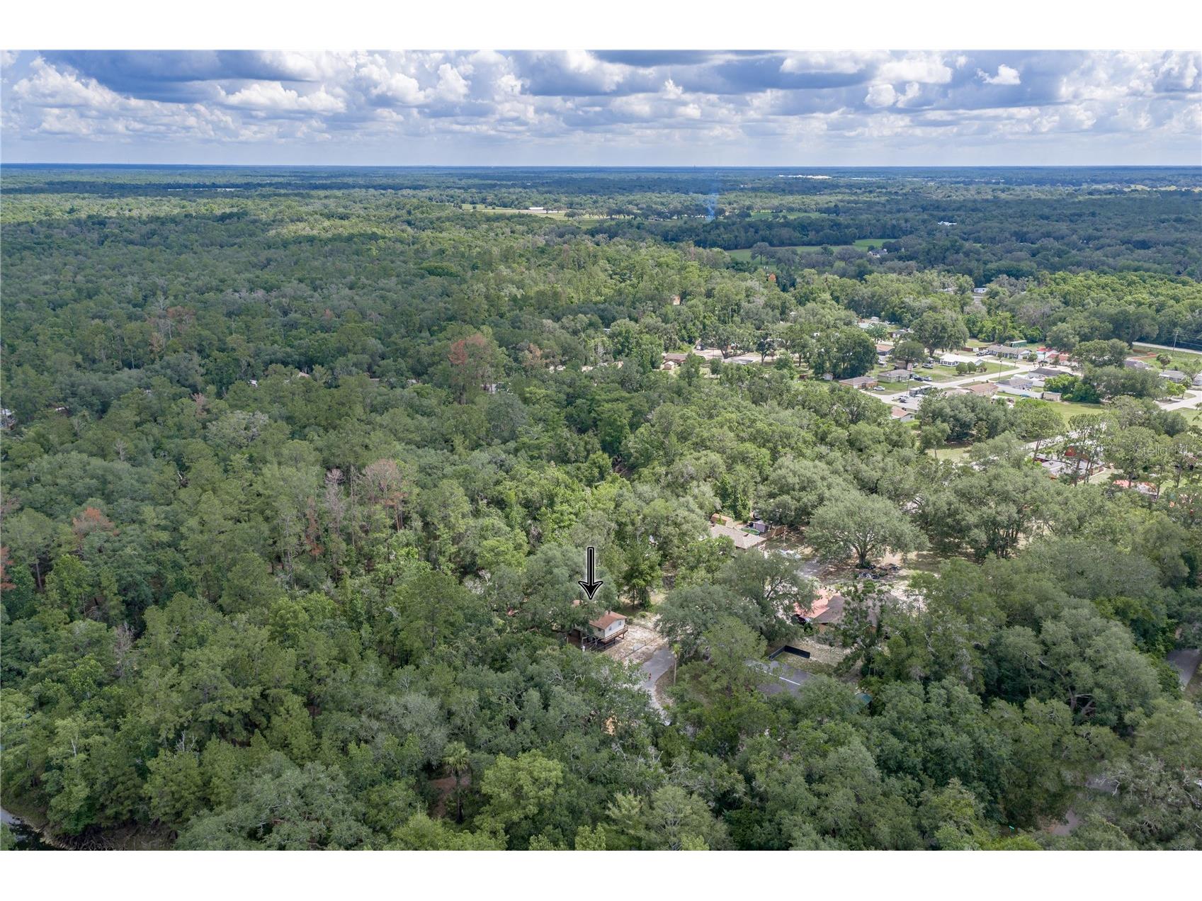 33065 Cedonia Road Dade City FL 33523 - WITHLACOOCHEE RIVER TB8519533 image2