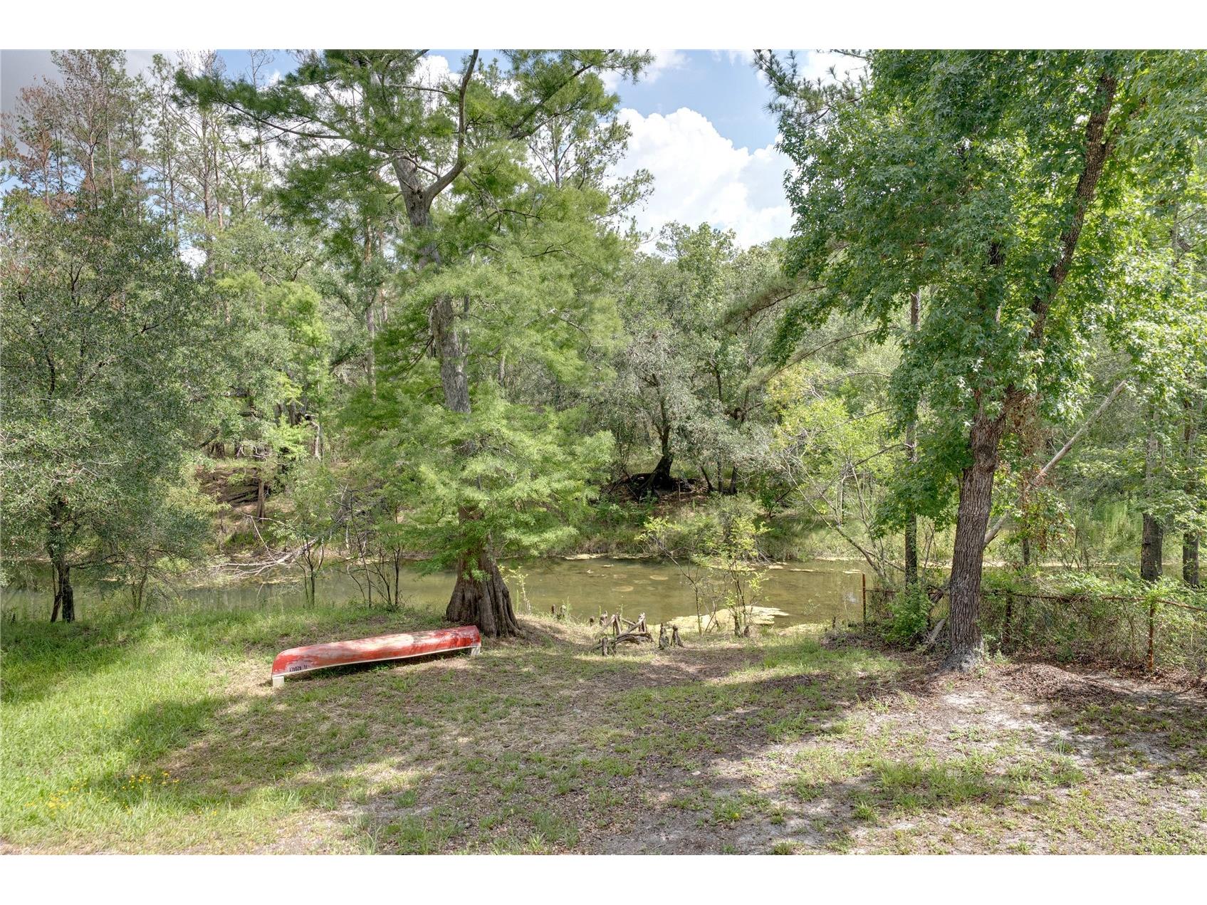 33065 Cedonia Road Dade City FL 33523 - WITHLACOOCHEE RIVER TB8519533 image35