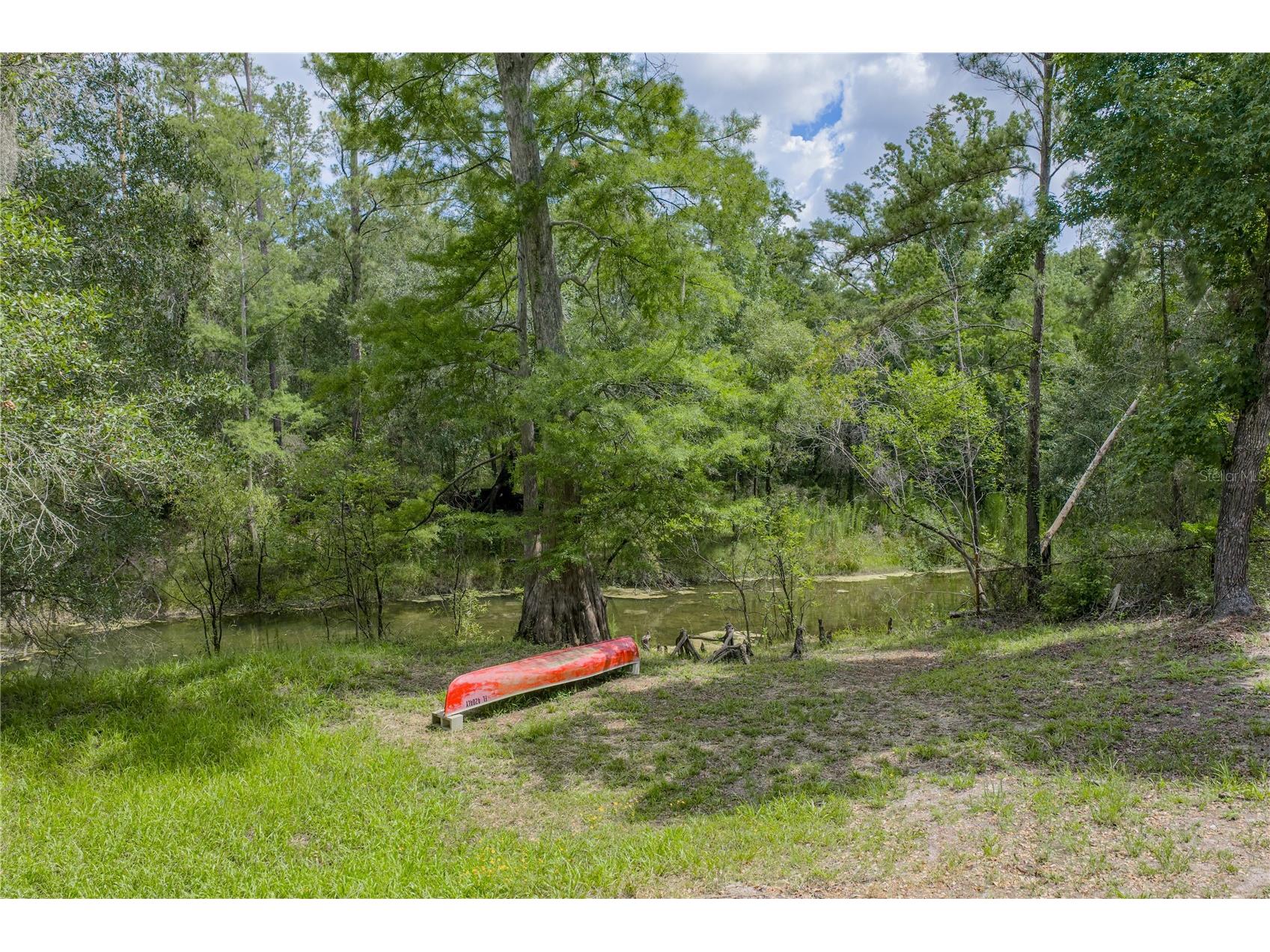 33065 Cedonia Road Dade City FL 33523 - WITHLACOOCHEE RIVER TB8519533 image36