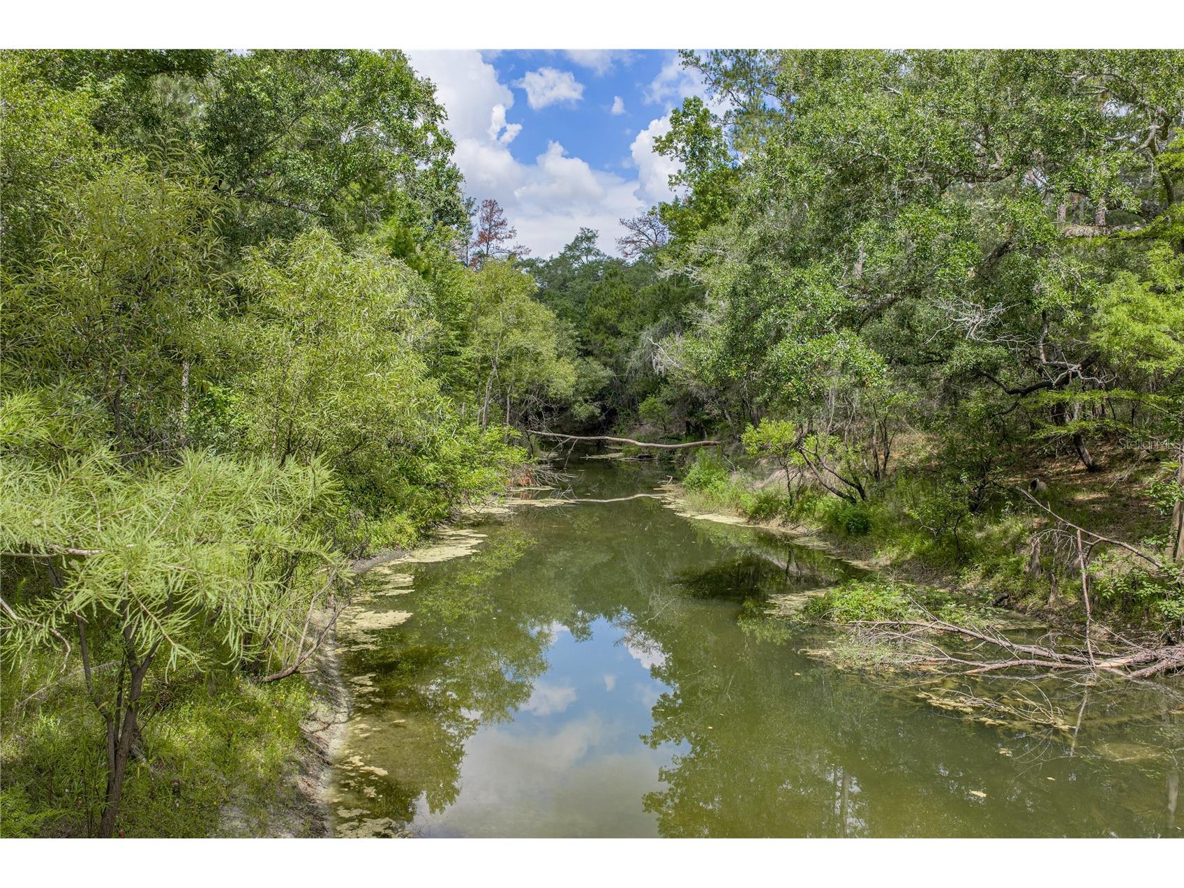 33065 Cedonia Road Dade City FL 33523 - WITHLACOOCHEE RIVER TB8519533 image39