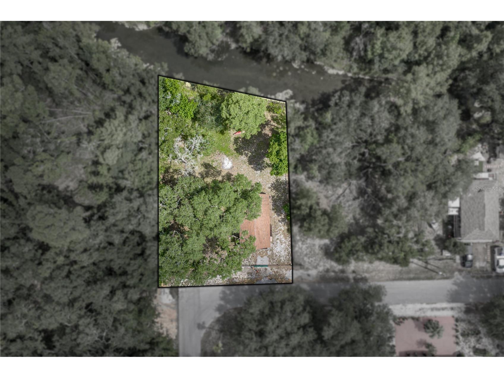 33065 Cedonia Road Dade City FL 33523 - WITHLACOOCHEE RIVER TB8519533 image4