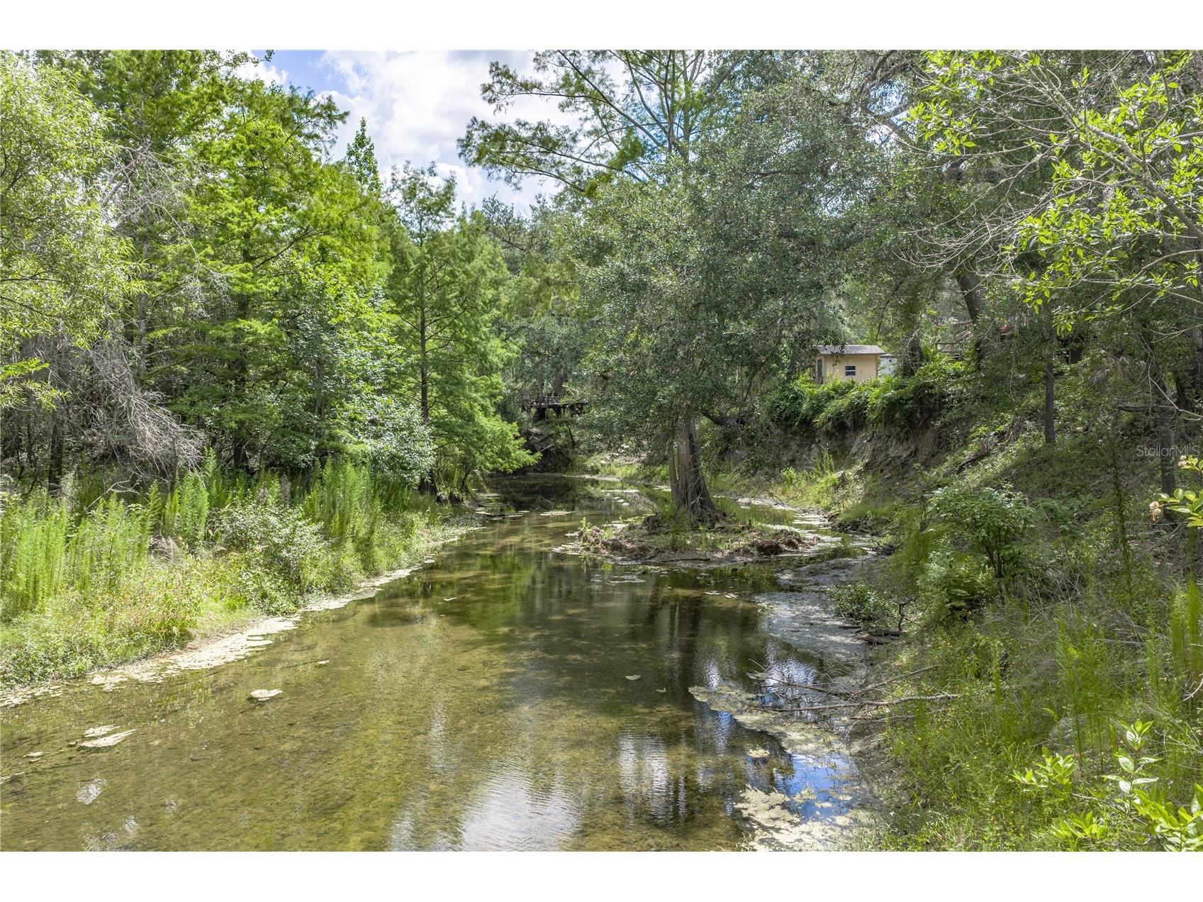 33065 Cedonia Road Dade City FL 33523 - WITHLACOOCHEE RIVER TB8519533 image40