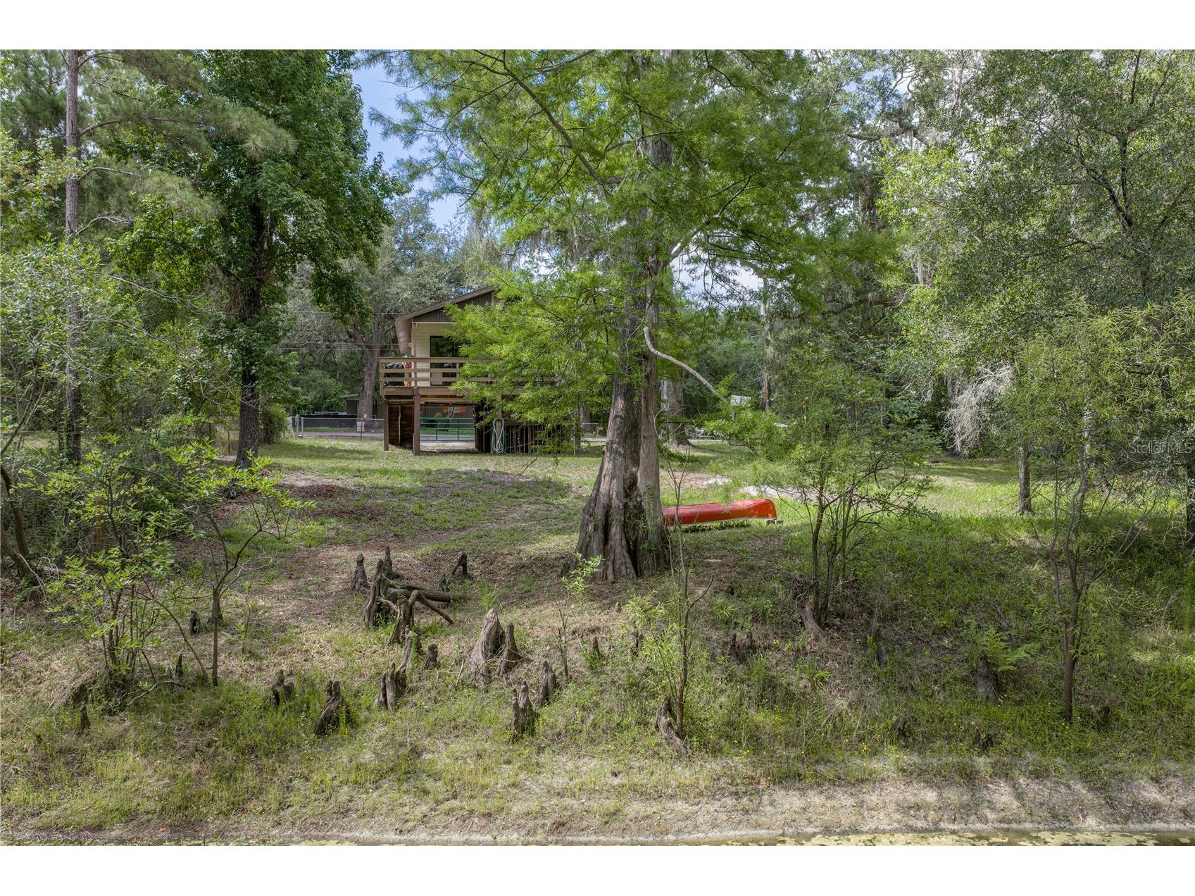 33065 Cedonia Road Dade City FL 33523 - WITHLACOOCHEE RIVER TB8519533 image41