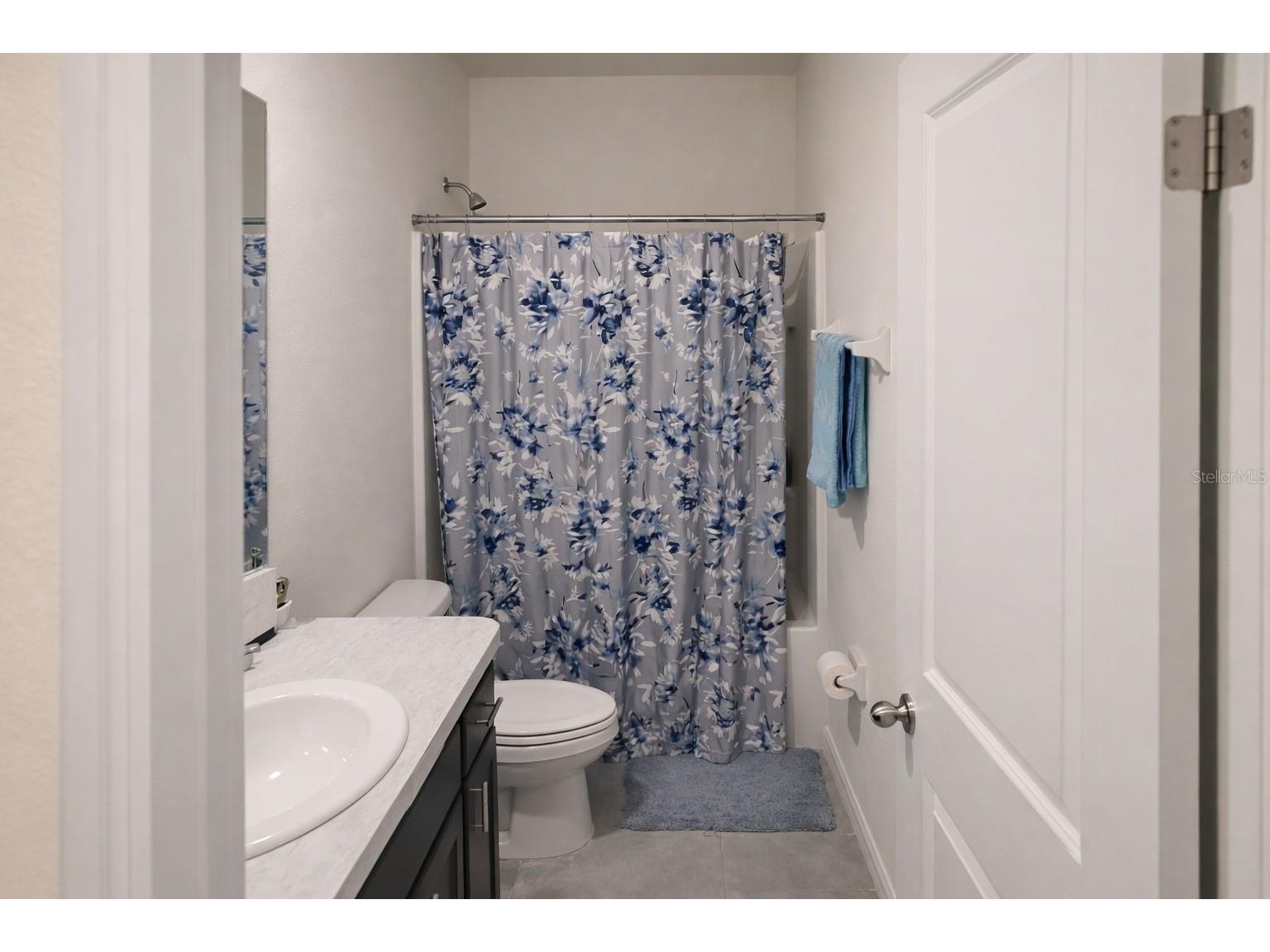 33066 Tulip Petal Lane Wesley Chapel FL 33545 TB8468092 image16