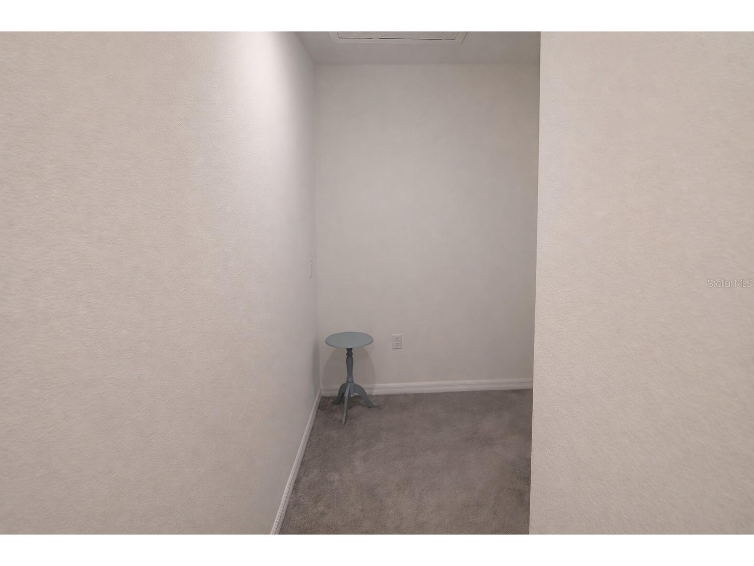 33066 Tulip Petal Lane Wesley Chapel FL 33545 TB8468092 image17