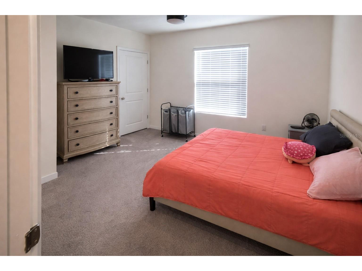 33066 Tulip Petal Lane Wesley Chapel FL 33545 TB8468092 image19