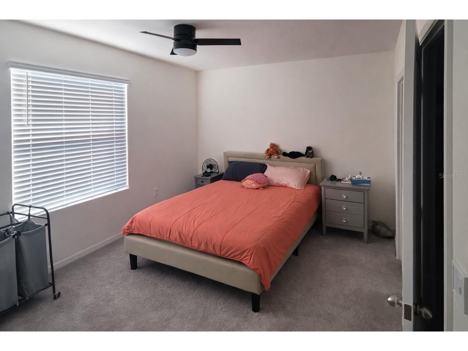 33066 Tulip Petal Lane Wesley Chapel FL 33545 TB8468092 image20