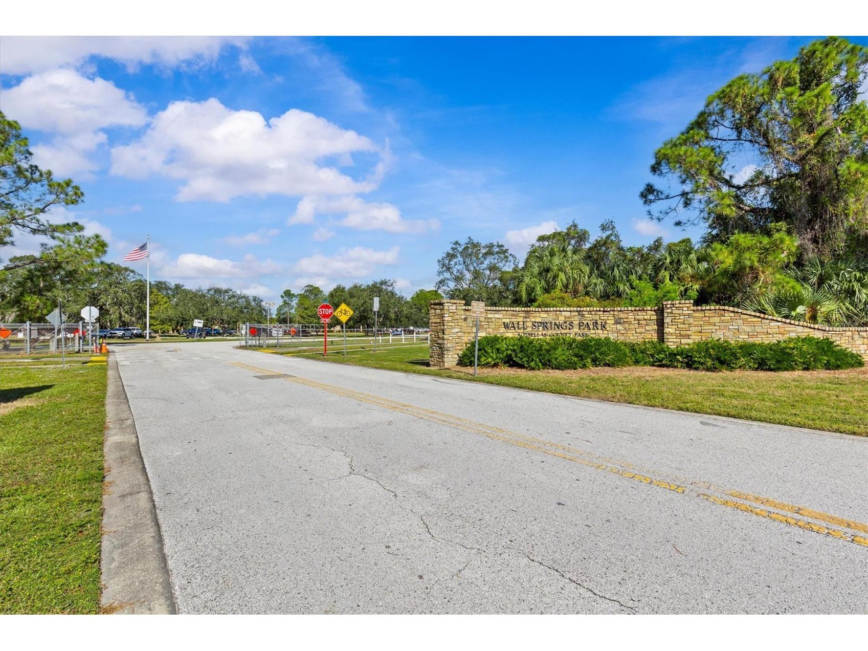 3307 De Soto Boulevard Palm Harbor FL 34683 TB8441264 image37