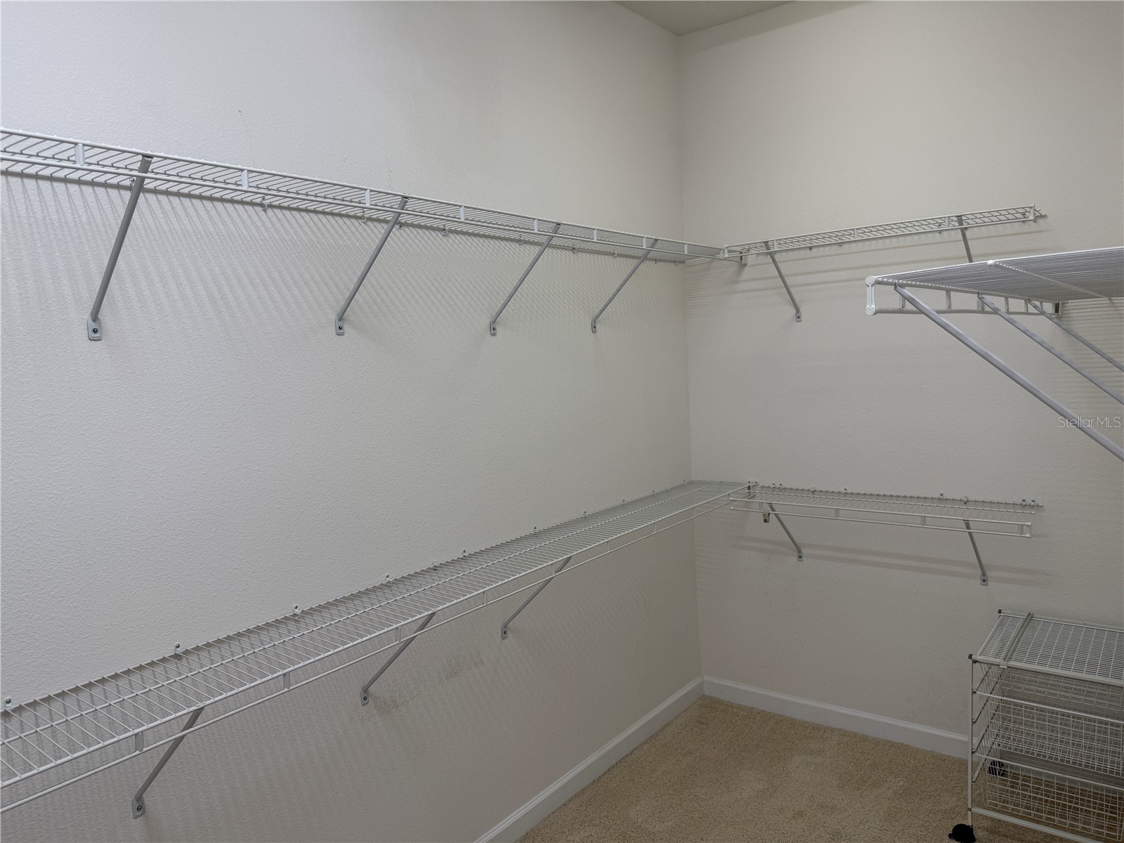 3307 Morelyn Crest Circle Orlando FL 32828 O6418319 image14