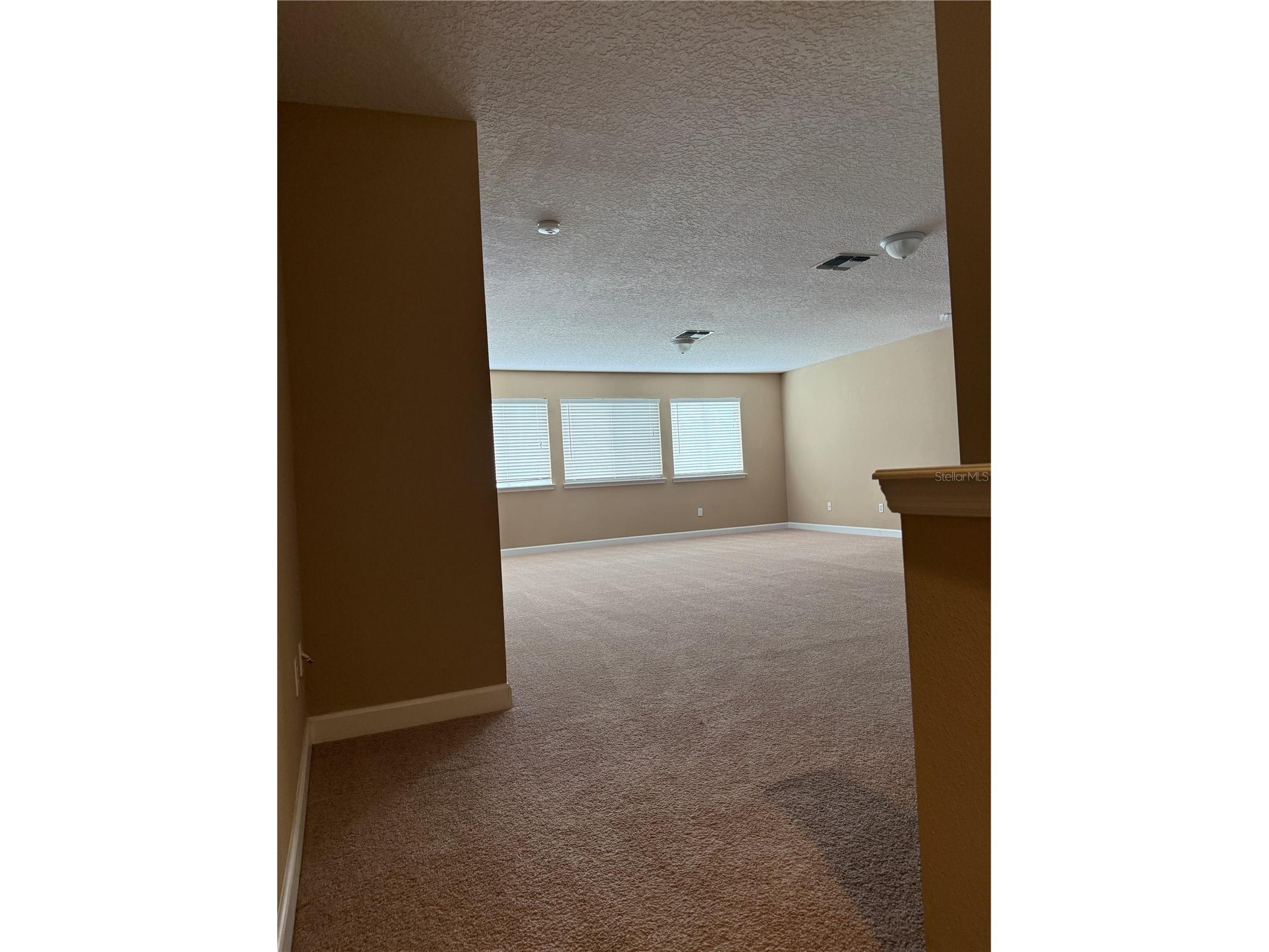 3307 Morelyn Crest Circle Orlando FL 32828 O6418319 image33