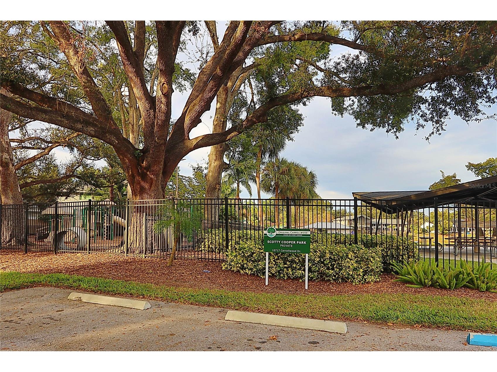 3307 Nakora Drive Tampa FL 33618 TB8511152 image50