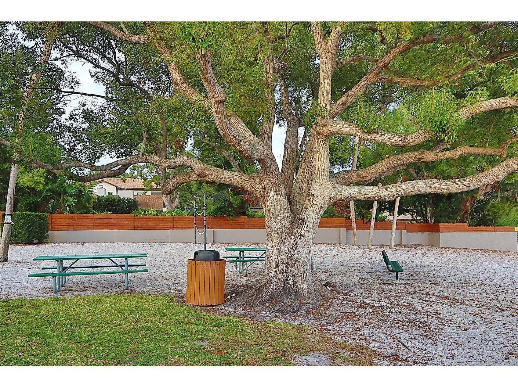 3307 Nakora Drive Tampa FL 33618 TB8511152 image57