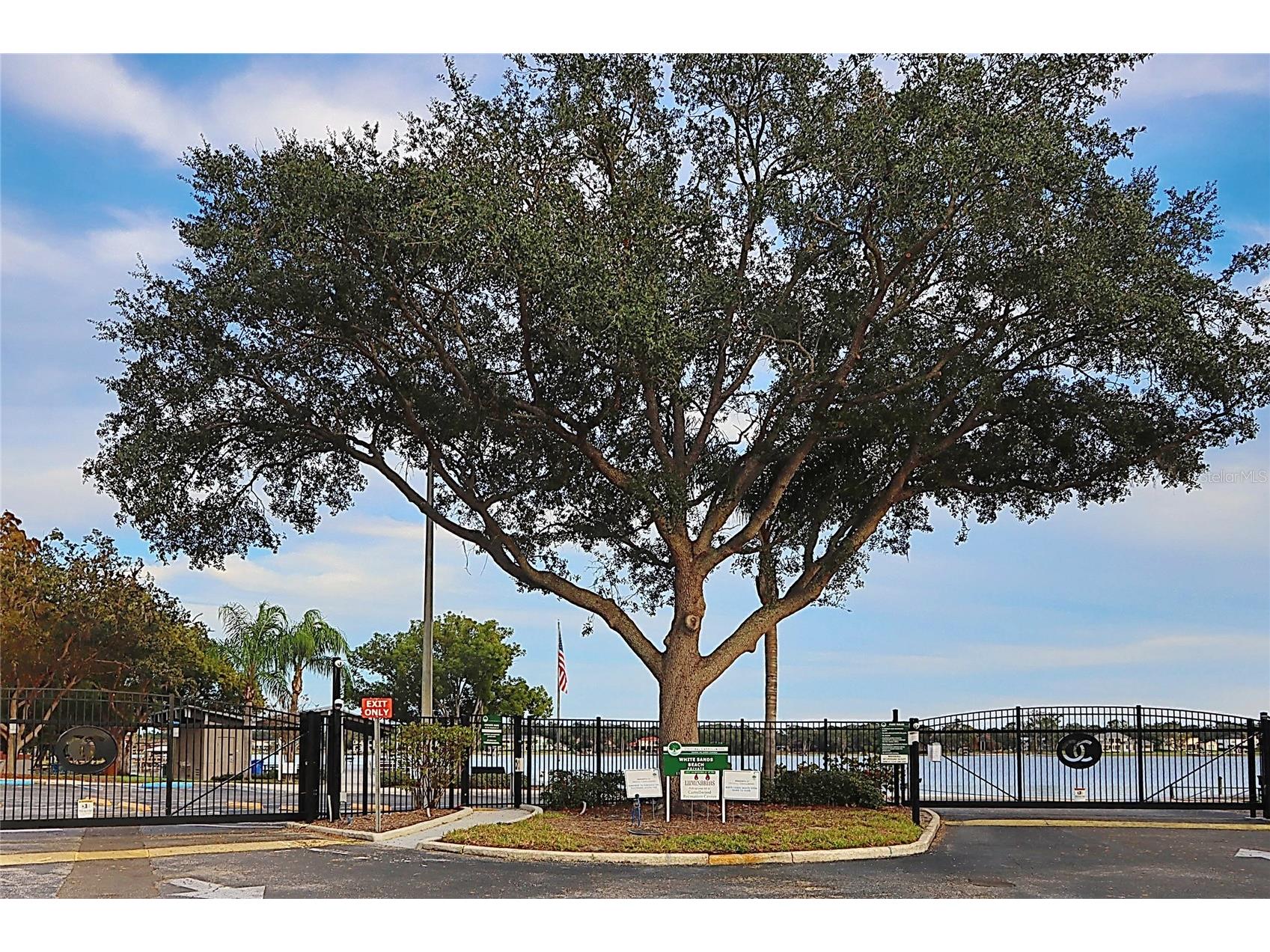 3307 Nakora Drive Tampa FL 33618 TB8511152 image59