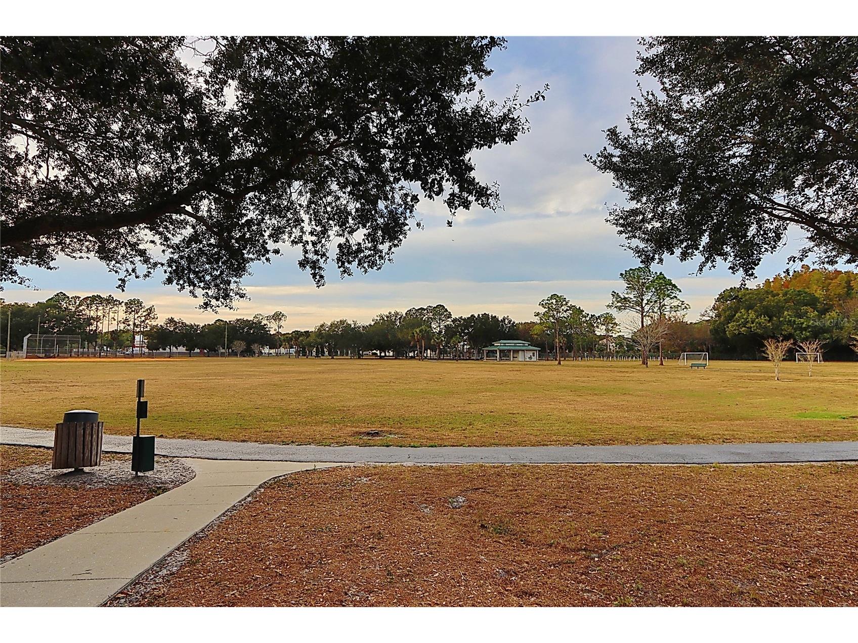 3307 Nakora Drive Tampa FL 33618 TB8511152 image62